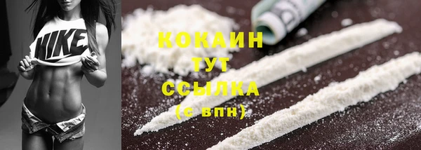 сатива Елабуга