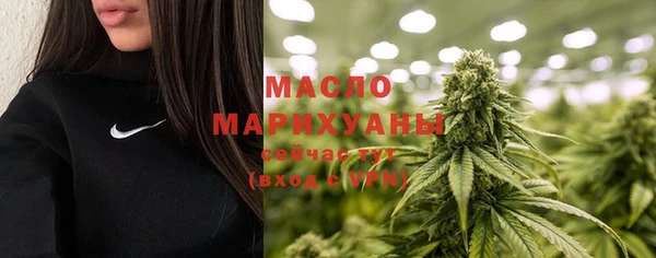сатива Елабуга