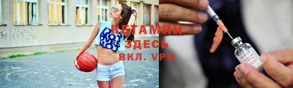 сатива Елабуга