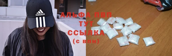 сатива Елабуга