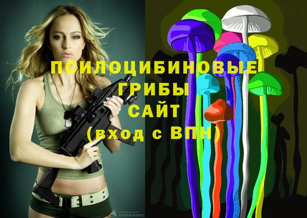 сатива Елабуга