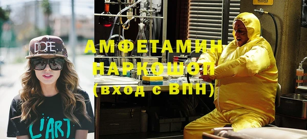 сатива Елабуга