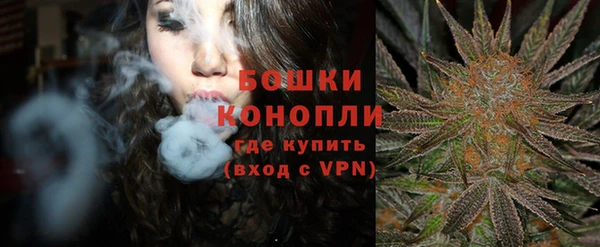 сатива Елабуга