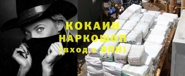 сатива Елабуга