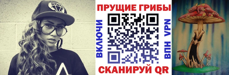 Псилоцибиновые грибы Magic Shrooms  Купить  Альметьевск 